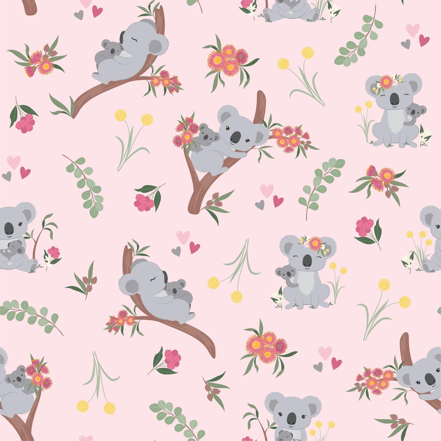NEW RELEASE Koala Cuddles